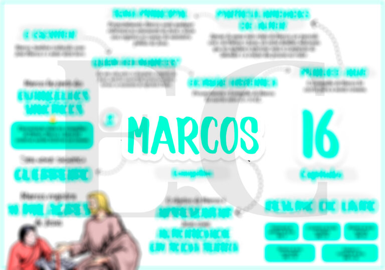 41-MARCOS-768x538-1.jpg